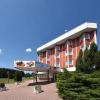 Hotel Regent, hotel in Třeboň
