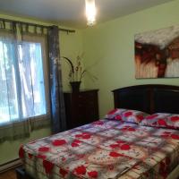 Montreal Authentic appartment, hotel in: Hochelaga-Maisonneuve, Montreal