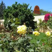 Riad Dar Zidane, hotel a Meknès