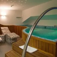 Hotel Aurel, отель в Подгорице