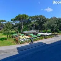 Hotel Cilene, מלון בויארג'ו