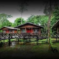Borneo Nature Lodge, hotell i Sukau