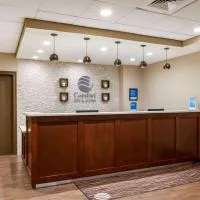 Comfort Inn & Suites At Copeland Tower, hotel v destinaci Metairie