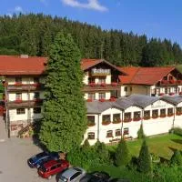 Waldhotel Seebachschleife, Hotel in Bayerisch Eisenstein