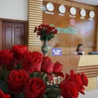 Camellia Hotel, hotel v destinaci Thanh Hóa
