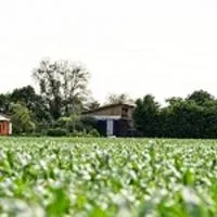 Demeterhof Dünninger、Hofheim in Unterfrankenのホテル