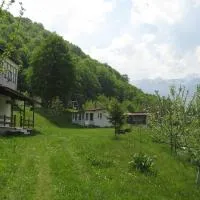 Bungalows Zdravets – hotel w mieście Berkowica