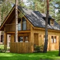 Largo Lake Resort Kaszuby, готель у місті Борськ