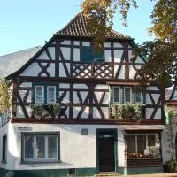 Hotel Grüner Baum, hotel en Bretzenheim