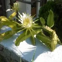 수르멜리 가든 호텔(Sourmeli Garden Hotel)