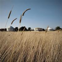 a field of tall brown grass with buildings in the background at Meadow Vale Retreats, Screveton