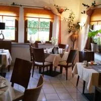 Hotel Birkenhof Garni, hotel em Baabe