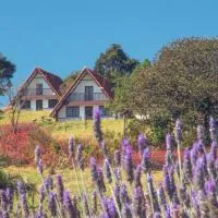 Chalés da Cuesta, hotel di Pardinho