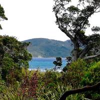 Mulberry Grove Retreat, hotel near Great Barrier Island Airport - GBZ, Tryphena