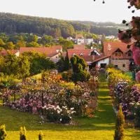 penzion ROSETA, hotel v destinaci Radějov