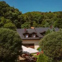 Zajazd Srebrna Gora, hotel Krakkóban