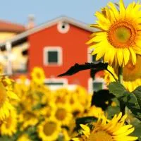 b&b DOREMI, hotel v destinácii Osimo