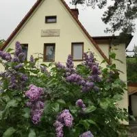 Willa Danusia, hotel di Milanówek
