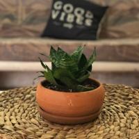 Apartamento Bizantino, hotel near Cozumel International Airport - CZM, Cozumel