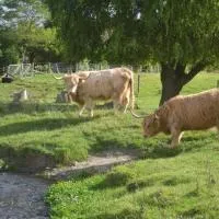 Highlands on Homestead, khách sạn ở Oamaru