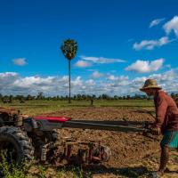 Chansor Community Homestay 17, hotel poblíž Siem Reap-Angkor International Airport - SAI, Phumĭ Trach Pôk (2)