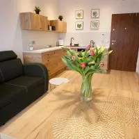 Apartament na Piernikowym z miejscem postojowym, hotel di Toruń