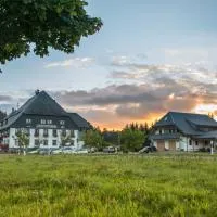 Gasthaus Kalte Herberge, hotel en Vöhrenbach