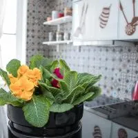Apartment Travel hub ***, hotel di Varazdin