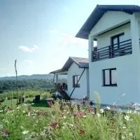 Pensiunea La Poarta Bucovinei, hotelli kohteessa Suceava