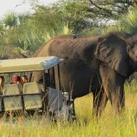 Tembe Elephant Park Lodge: Sihangwane şehrinde bir otel