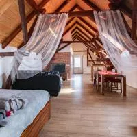 Penzion Na barokní cestě Wellness & Spa, хотел в Plasy