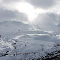Inmobiliaria Formigal - admite mascotas