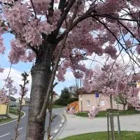 Apartmány na Vršku, готель у Плзені