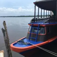 Orangutan Houseboat Park Tanjung Puting, hotel din Kumai