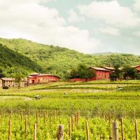 Agriturismo l'Uva e le Stelle