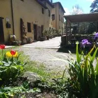 A Casa Del Tosi, hotel in Lucca