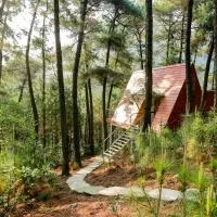 Cat Ba Eco Lodge, hotell sihtkohas Cát Bà