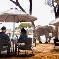 Elephant Bedroom Camp - Samburu, hotel in Archers Post