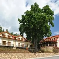 Hotel Gold Chotoviny، فندق في Chotoviny