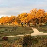 Viesnīca haras du Vignault Le Bûcher pilsētā Salbrī