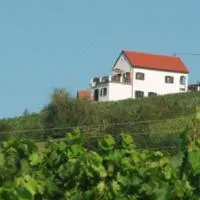 Kellerstöckl Eisenberg/Pinka Weiner, hotel di Eisenberg an der Pinka