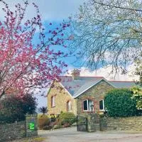 Niblick, hotel a Bantry