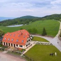 BORECZNA, hotell i Michałkowa