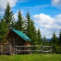 Eco Camp Drno Brdo – hotel w mieście Kosanica