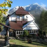 pensiunea Gabriela, hotel en Durau