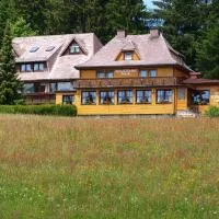 Hotel Restaurant Peterle, hotel Feldbergben
