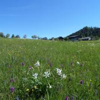 Bauernhof Ablass, hotel di Gostling an der Ybbs