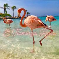 El Flamingo Rosa Cod IUN P5386