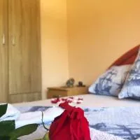 Apartments Simic, hotel di Kamenari