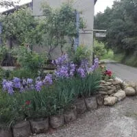 B&B San Nicola – hotel w mieście Medesano